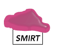 smirt button